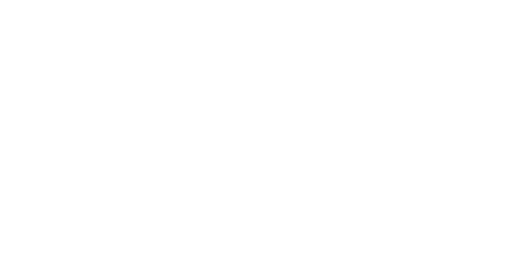 IAO Consulting Group — Strategic, Innovative, Accountable